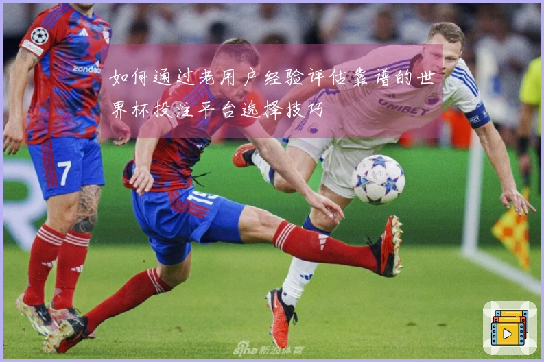 如何通过老用户经验评估靠谱的世界杯投注平台选择技巧