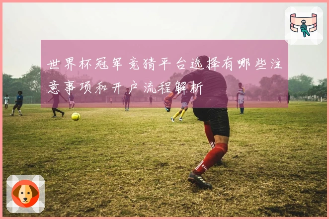 世界杯冠军竞猜平台选择有哪些注意事项和开户流程解析