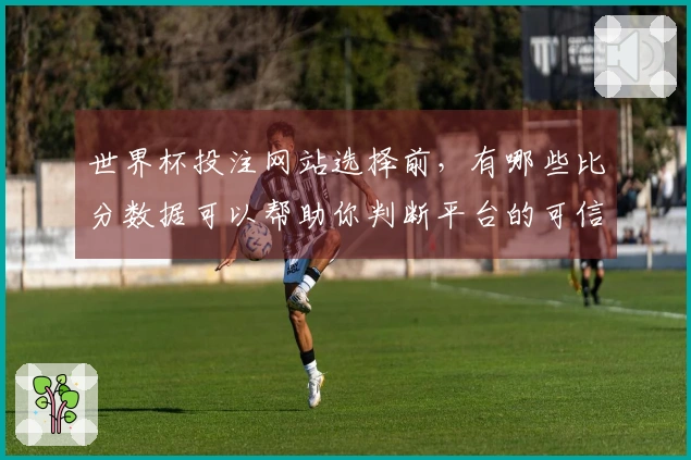 世界杯投注网站选择前，有哪些比分数据可以帮助你判断平台的可信度？